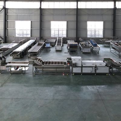 工業用水果・野菜洗浄・ブランシング用洗浄機 500kg