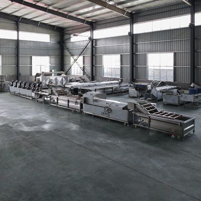 工業用水果・野菜洗浄・ブランシング用洗浄機 500kg