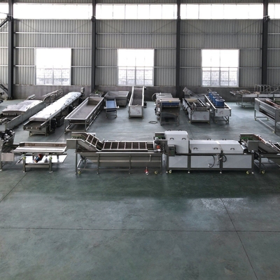 1500kg/H 容量 工業用果物洗浄機と野菜洗浄機