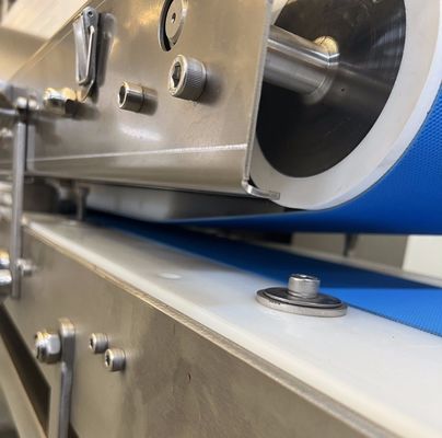 熱加工 加工されたスライス切断用肉と魚の切断機